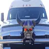 toddthornock879 - @toddthornock879 - TikTok