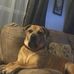 Todd Thorpe - Facebook