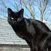 Todd Gribbons Tichenor - Facebook