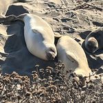 Todd Townsend - @rt_townsend - Instagram