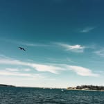 Todd Trainor - @tmurder582 - Instagram