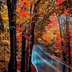 toddtrainor - @toddtrainor1933 - Instagram
