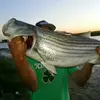 toddtraylor846 - @toddtraylor846 - TikTok