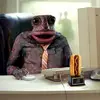 toad.tower - @toad.tower - TikTok