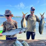 Todd Tuttle - @toddtuttle4 - Instagram