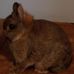Todd Unger - Facebook