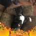Todd Vickery - Facebook