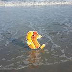 todd waddell - @waddelltodd - Instagram