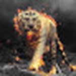 todd waddell - @unkindtiger_ytt - Instagram