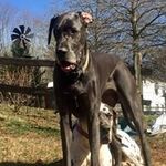 Todd Waddell - @todd.waddell.9 - Instagram