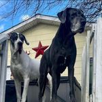 Todd Waddell - @liltoady - Instagram