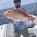 Todd Walden - Facebook