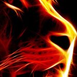 Todd Walden - @todd.walden.370 - Instagram