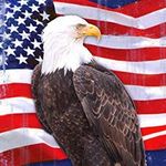 Todd1776 - @todd.waldo - Instagram