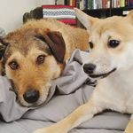 Todd N Waldo - @toddnwaldo - Instagram