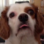 @todd_waldock_rules - Instagram