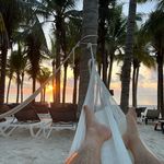 Todd Waldron - @dr.toddwaldron - Instagram
