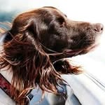 Todd Warden - @todd_e_warden - Instagram