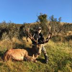 Todd Ware - @toddrware - Instagram