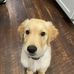 Todd Ware - Facebook