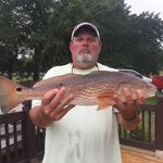 Todd Ware - @toddwarerr - Instagram