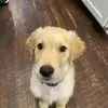 Todd Ware - @todd.ware1 - TikTok