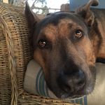 Todd Richard Warner - @todd.r.warner - Instagram