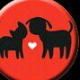 Todd Warner - @the_tailwaggers_foundation - Instagram