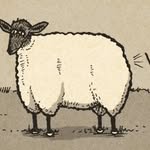 Todd Warner - @toddwarner8 - Instagram