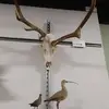 Todd Warner - @todd.warner4 - TikTok