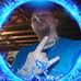 Todd Warnick - Facebook