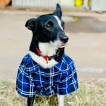 Todd Wicks - @surfjim_19 - Instagram