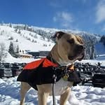 Todd Wickstrom - @toddwickstrom - Instagram