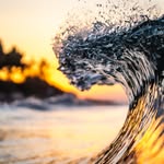 Todd Willer - @electricwooly - Instagram