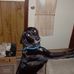 Todd Wilt - Facebook