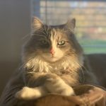 Todd Winger - @wingertodd - Instagram