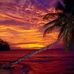 Todd Wingard - Facebook