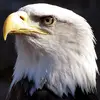 Todd Winningham - @toddwinningham - TikTok