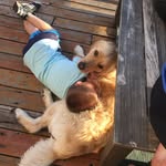 Todd Wittenberg - @wittenbergtodd - Instagram