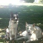 Todd Wolfe - @todd.wolfe - Instagram