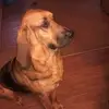 Todd Wolfe - @todd.wolfe0 - TikTok