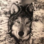Todd Wolfe - @todd__wolfe - Instagram