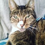 Todd Wright - @todd.wright_ - Instagram