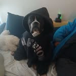 Todd Wulf - @iusuallygosplat - Instagram