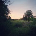 Todd Yeager - @kanaryhill_farm - Instagram