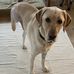 Bradley Toivonen - Facebook