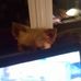 Tom Abernathy - Facebook