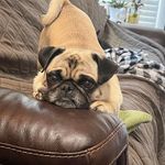 Tom Abshere - @tomabshere - Instagram
