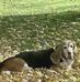 Tom Acord - Facebook