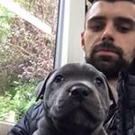 Tom Adamson - @tom_adamson08 - Instagram